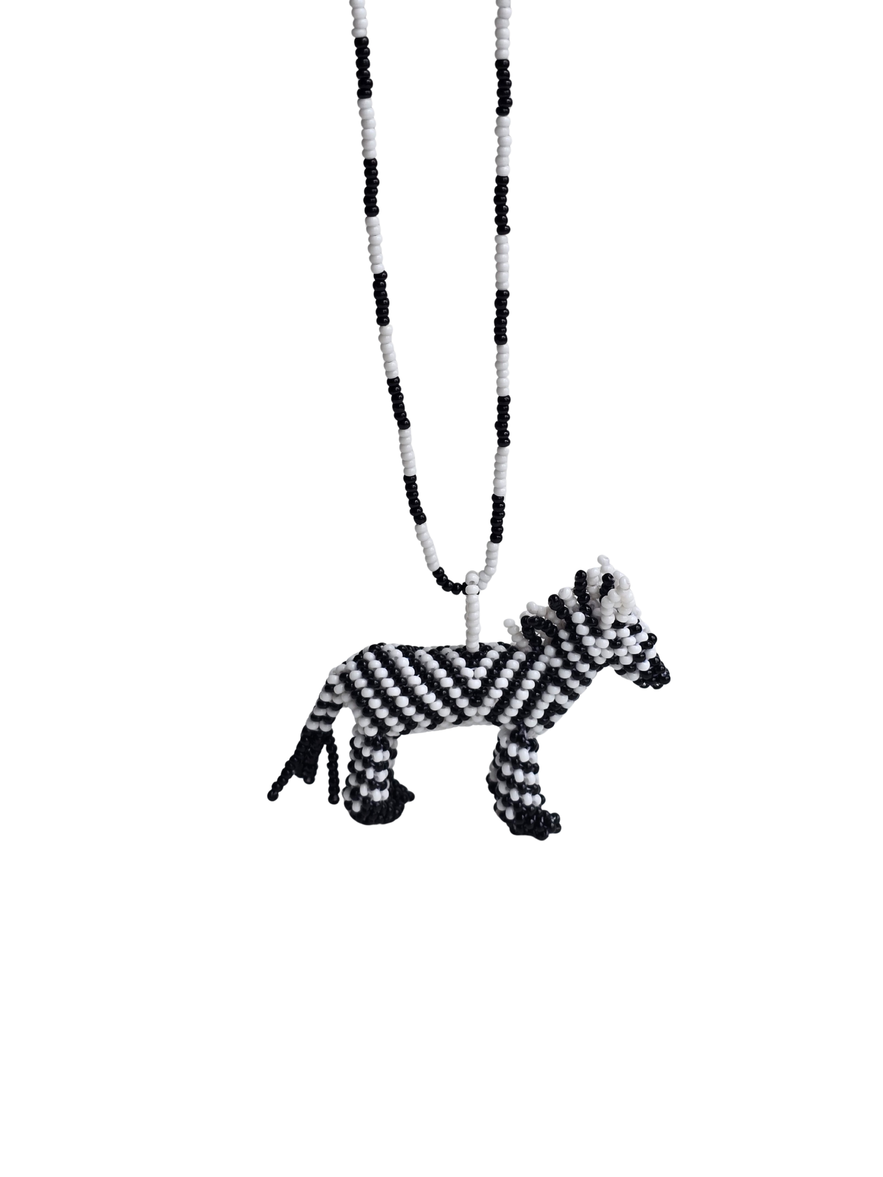 Cebra en mostacilla del Putumayo