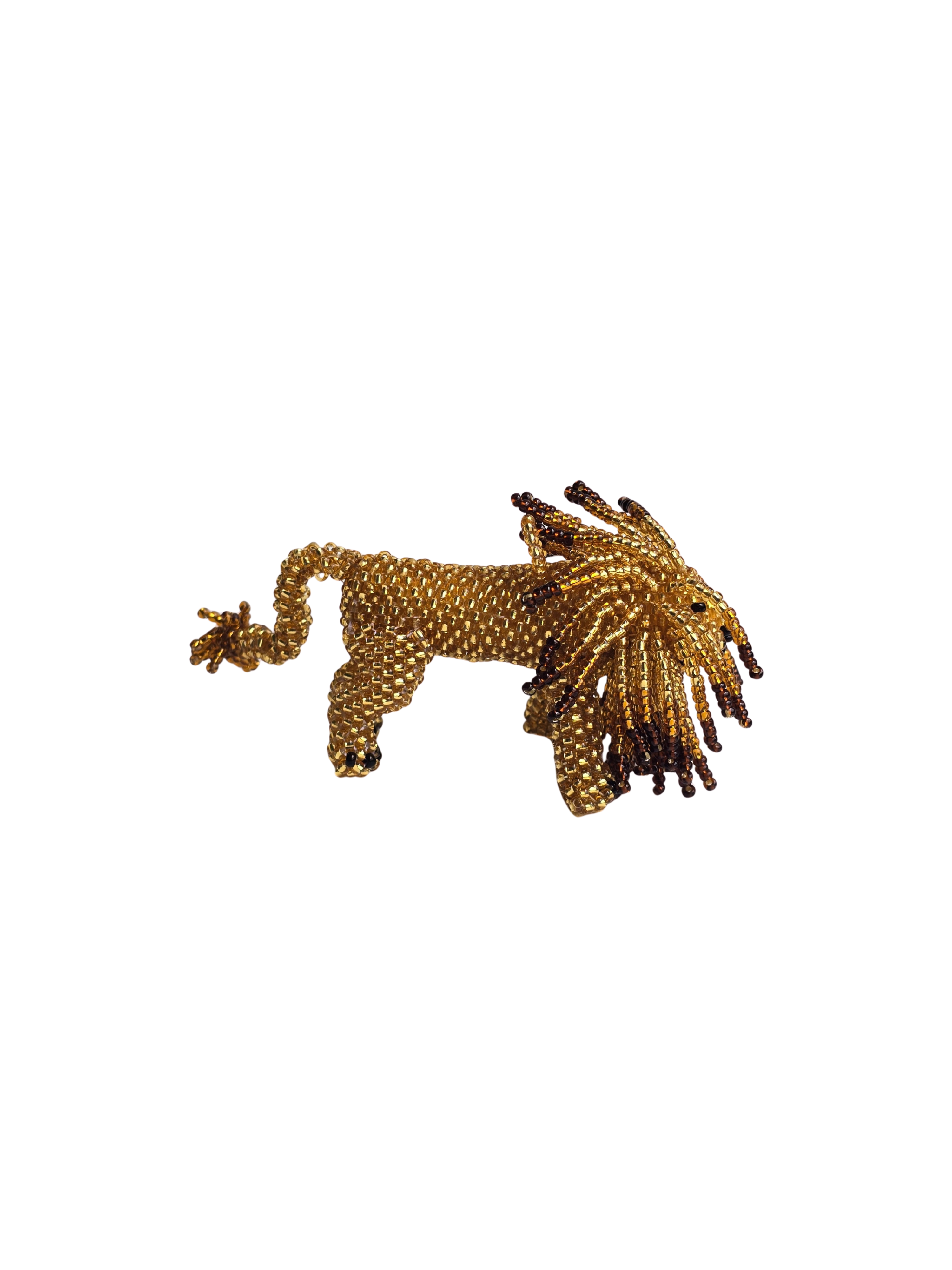 León en mostacilla del Putumayo