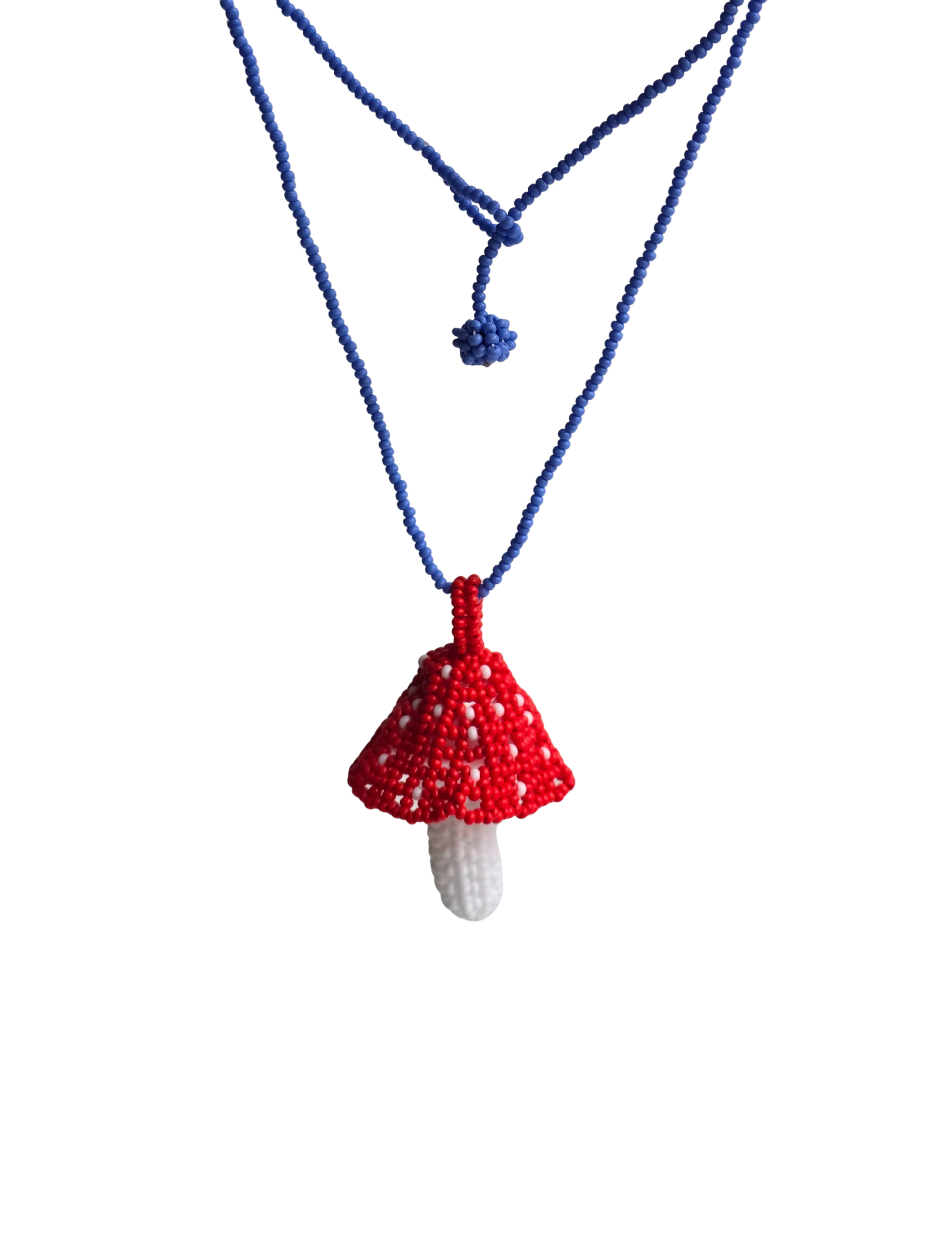 Hongo en mostacilla del Putumayo