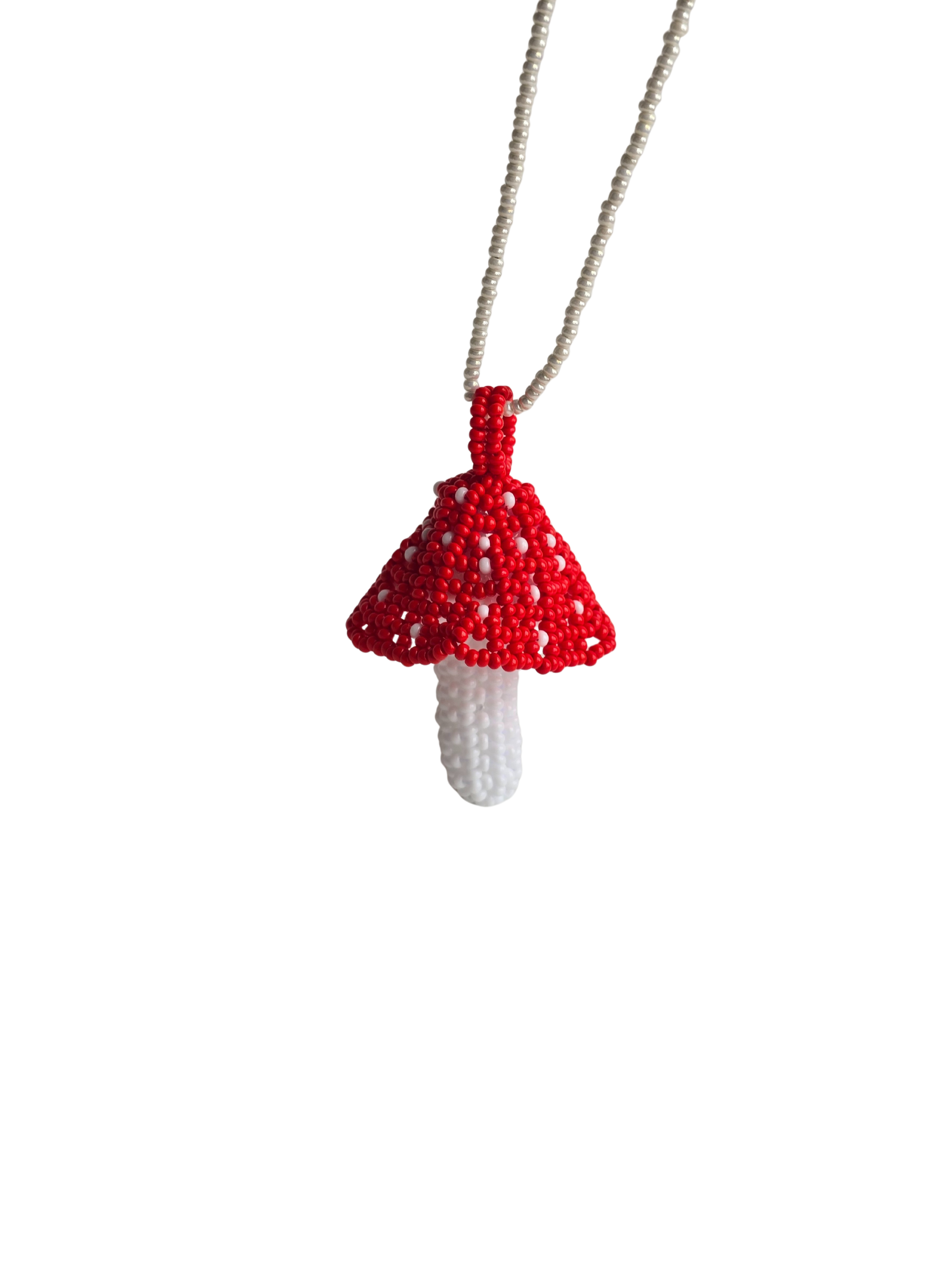 Hongo en mostacilla del Putumayo