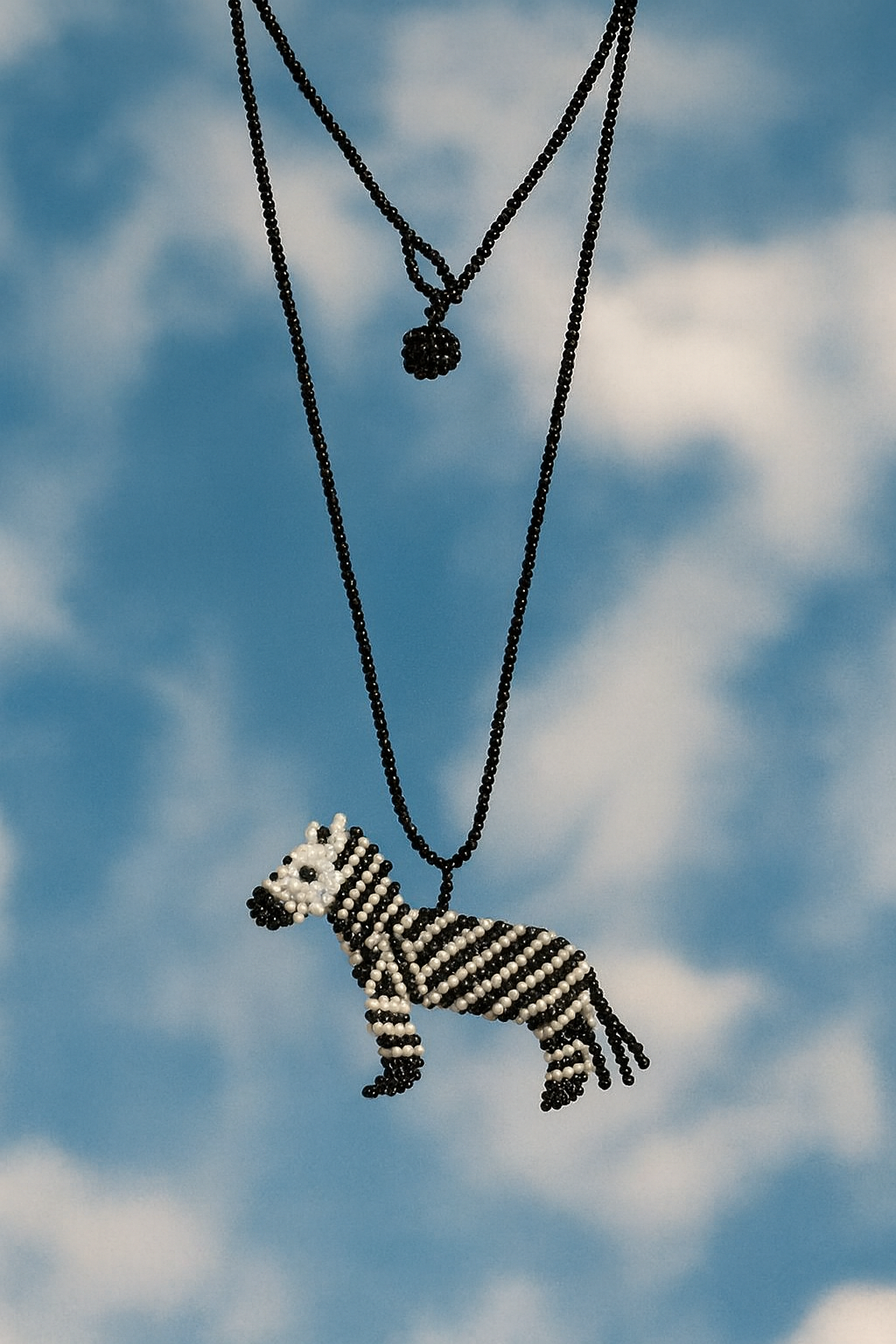 Cebra en mostacilla del Putumayo