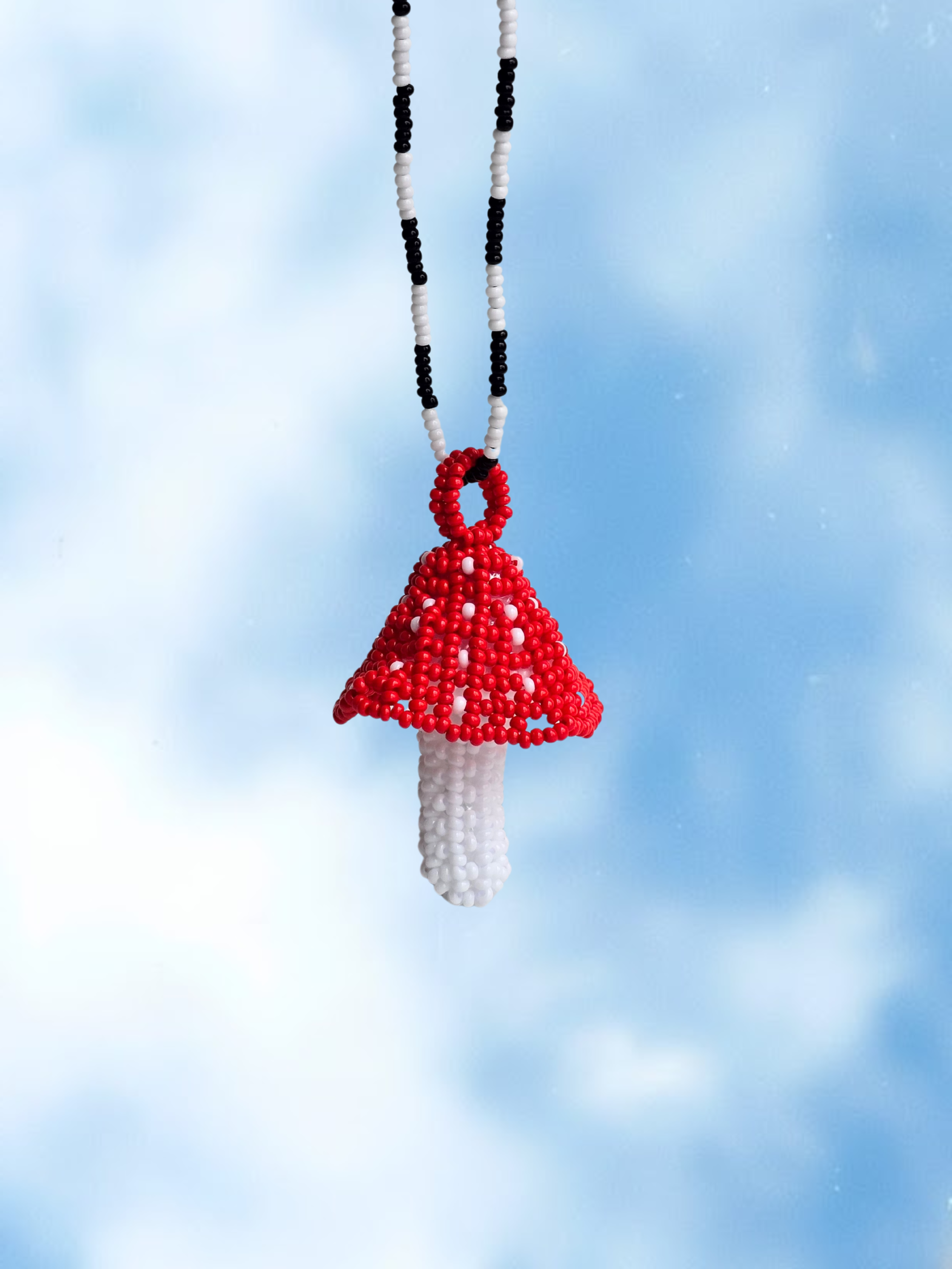 Hongo en mostacilla del Putumayo