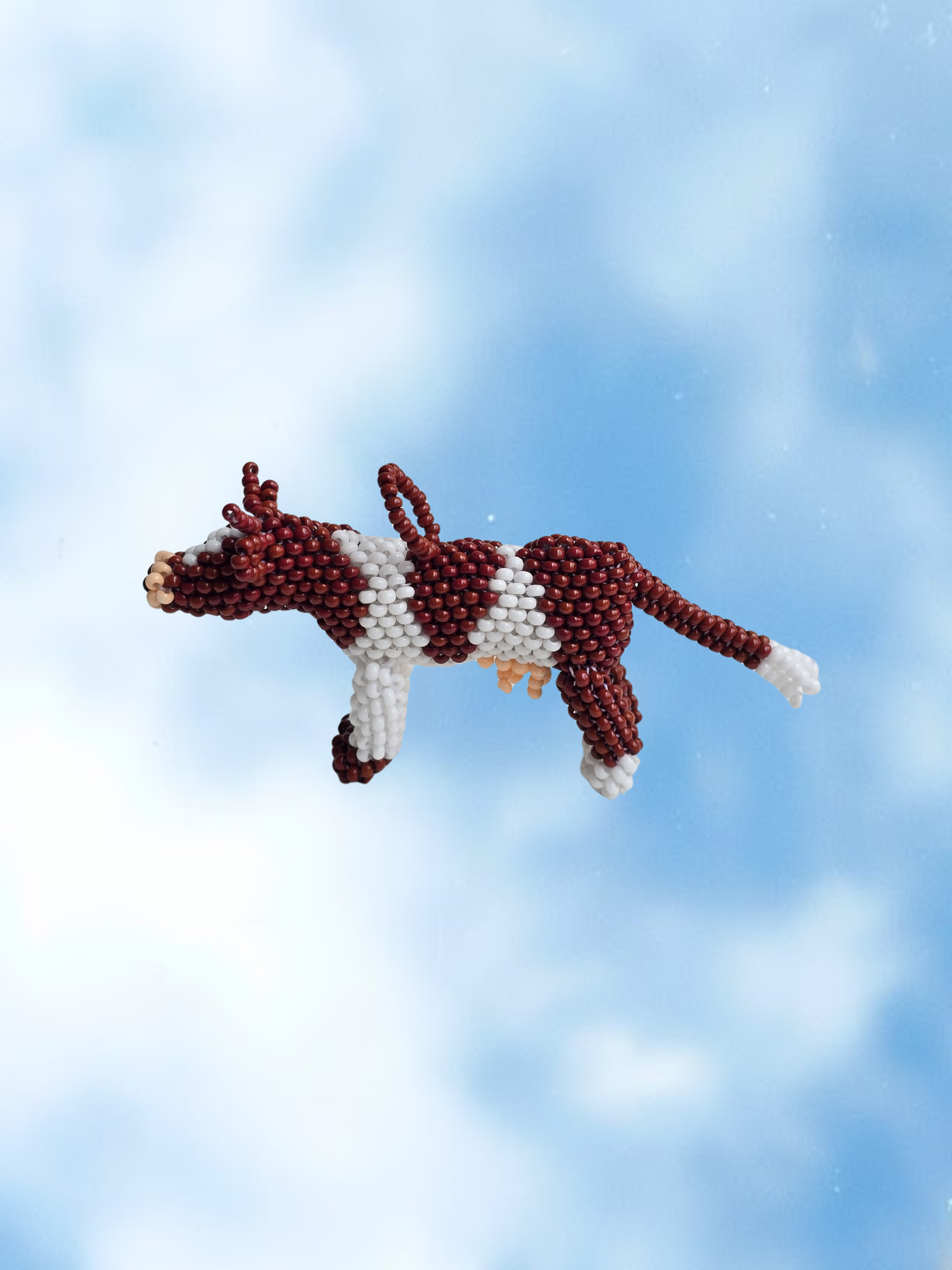 Vaca en mostacilla del Putumayo - Café