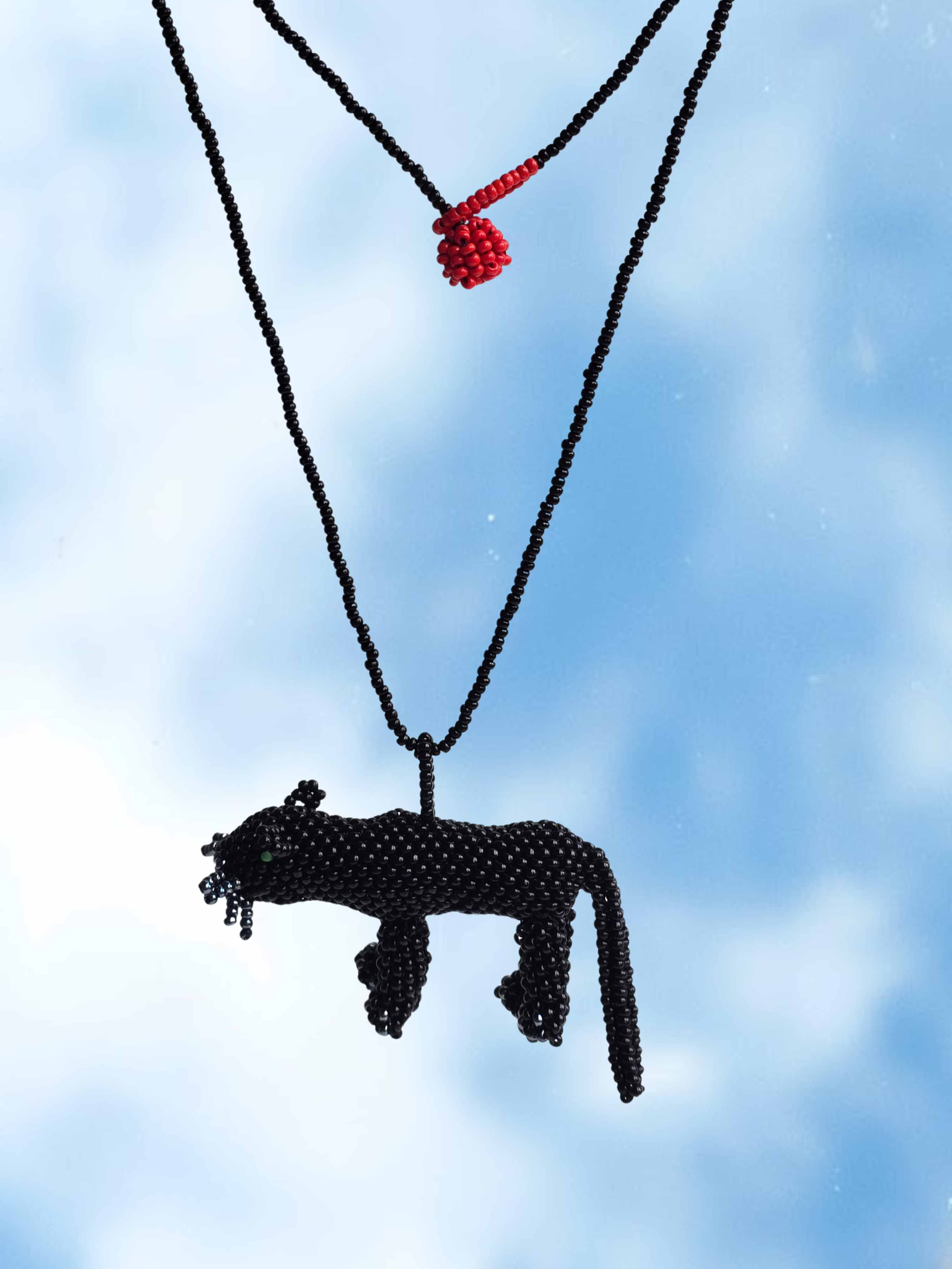 Pantera Negra en mostacilla del Putumayo