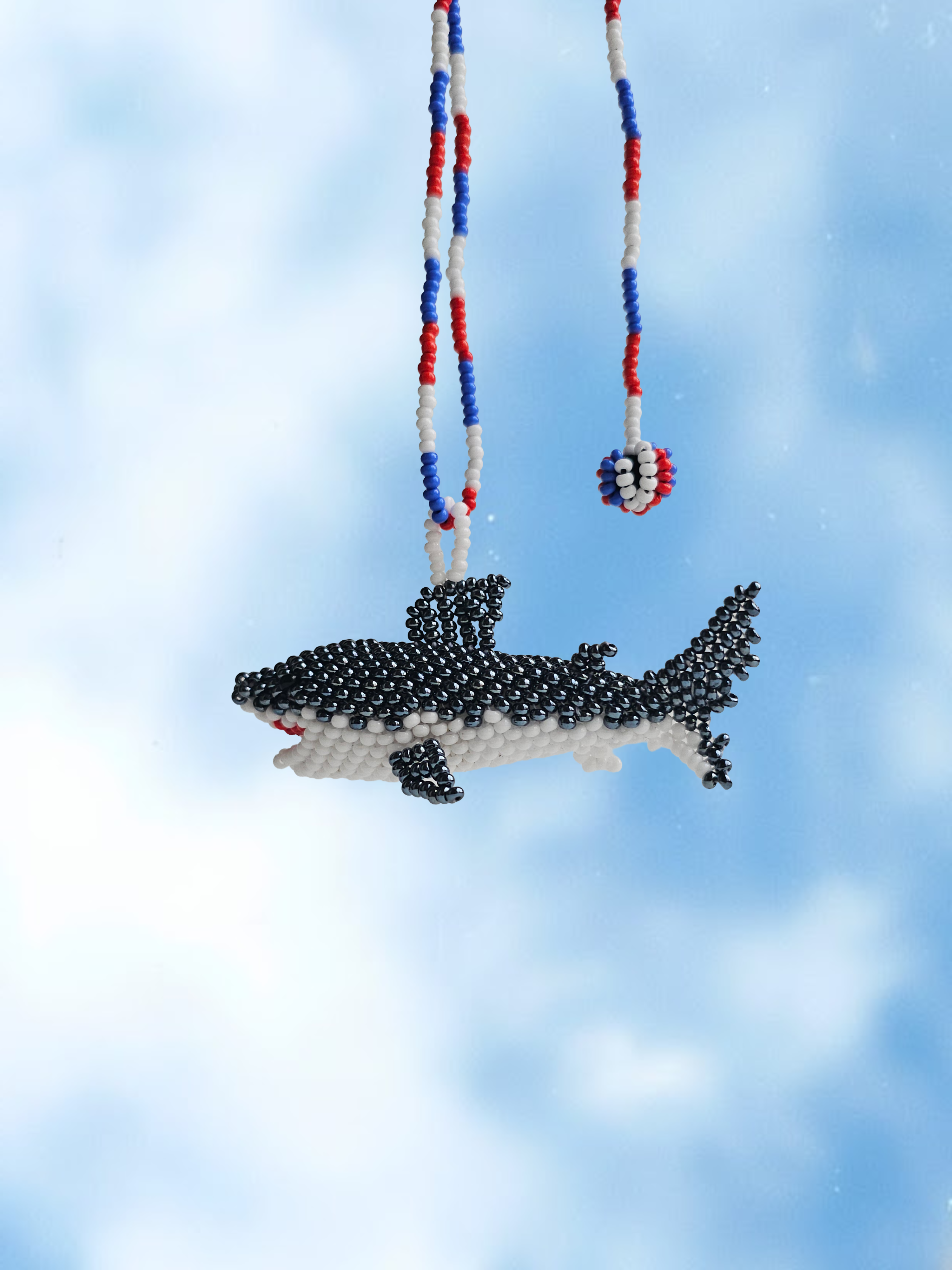 Tiburón en mostacilla del Putumayo