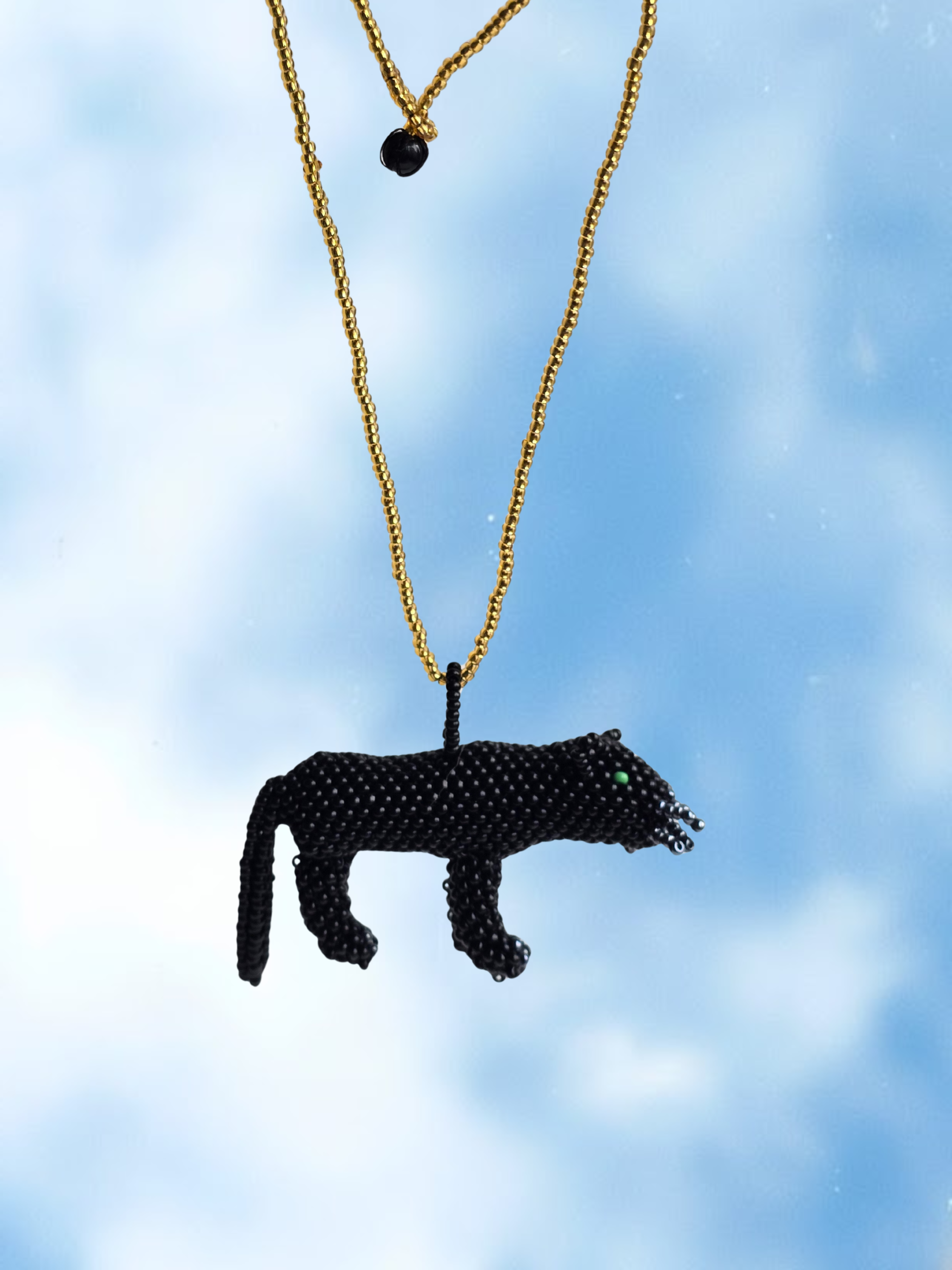 Pantera Negra en mostacilla del Putumayo
