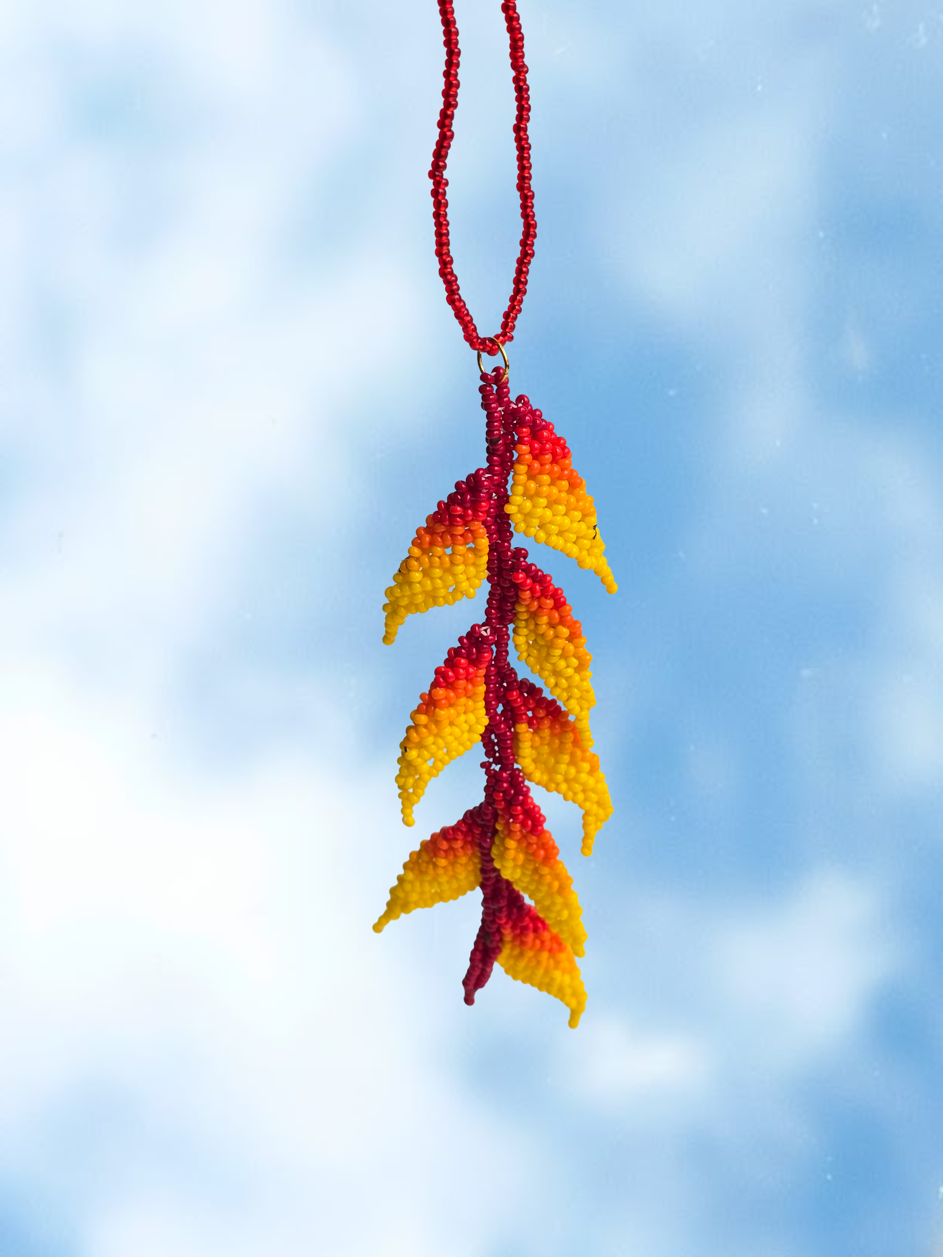 Heliconia en mostacilla del Putumayo